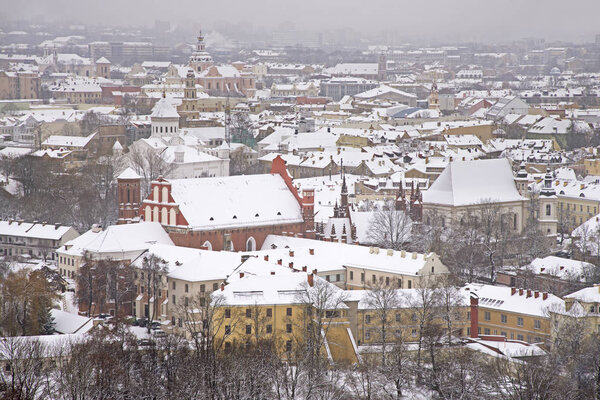 Panoramic view of Vilnius. Lithuania