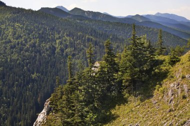 Zakopane yakınlarındaki yüksek Tatras dağlarının manzarası. Polonya