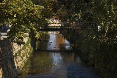 Bitola 'daki Dragor Nehri. Makedonya