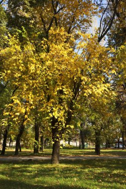 Bitola 'ya park et. Makedonya