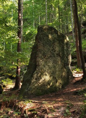 Bohem İsviçre - Hrensko yakınlarındaki Elbe Sandstone Dağları. Bohemya. Çek Cumhuriyeti