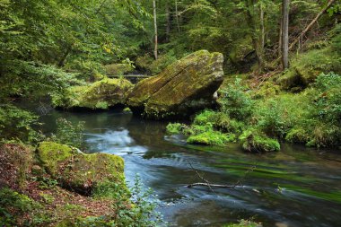 Hrensko yakınlarındaki Kamenice nehri. Bohemya. Çek Cumhuriyeti