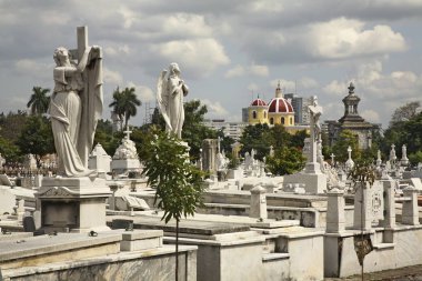 Havana 'daki Colon Mezarlığı. Küba
