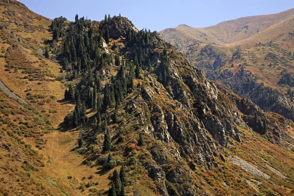 Uitzicht Medeo Vallei Kazachstan — Stockfoto