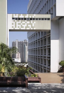 Hong Kong Üniversitesi. Çin