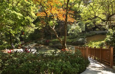 Hong Kong 'daki Üniversite Parkı. Çin