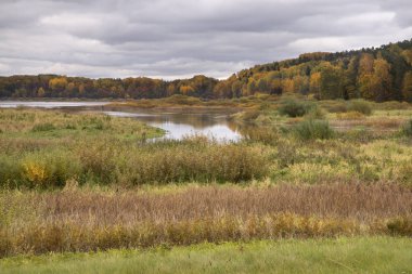 Mikhaylovskoye yakınlarındaki manzara - Alexander Puşkin 'in müze rezervi. Pskov Oblastı. Rusya
