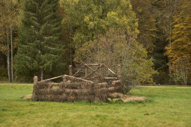 Yaban Tavşanı Heykeli Mikhaylovskoye 'de - Alexander Puşkin' in devlet müze rezervi. Pskov Oblastı. Rusya