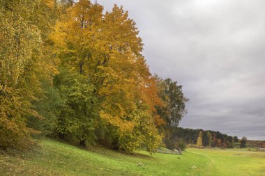 Mikhaylovskoye yakınlarındaki manzara - Alexander Puşkin 'in müze rezervi. Pskov Oblastı. Rusya