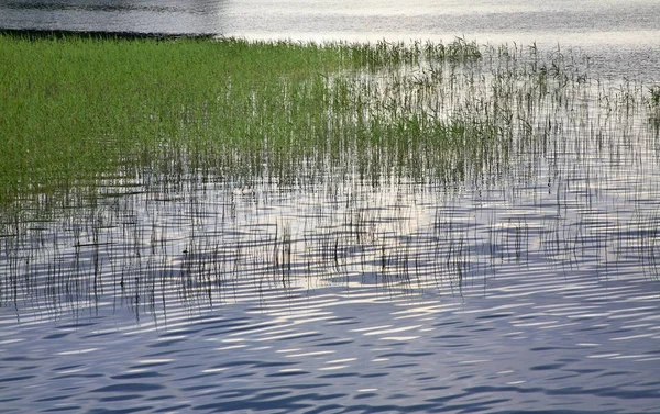 Jezero Valdayskoye Valdai Novgorodská Oblast Rusko — Stock fotografie