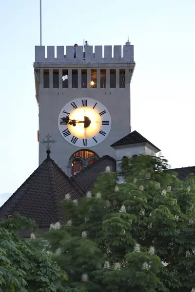 Kirche Des Heiligen Erlösers Park Wladysaw Lokietek Wloclawek Polen — Stockfoto