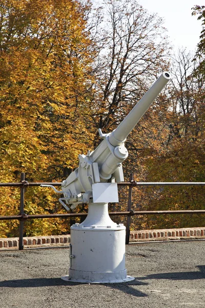 Cañón Kalemegdan Belgrado Serbia —  Fotos de Stock