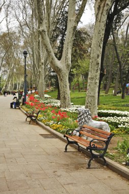 İstanbul 'daki Gulhane Parkı. Türkiye