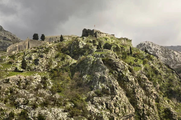 Ruiner Fästning Kotor Montenegro — Stockfoto