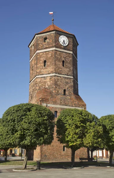 Torre Medieval Adosada Plaza Libertad Znin Polonia — Foto de Stock