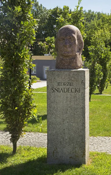 Monument Jedrzej Sniadeck Znin Pologne — Photo