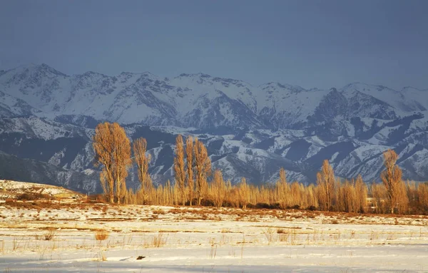 Montañas Cerca Grigorievka Kirguistán — Foto de Stock