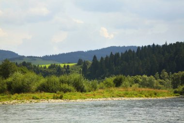 Dunajec nehri manzarası. Polonya