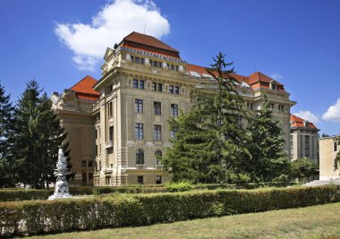 Debrecen Üniversitesi. Macaristan