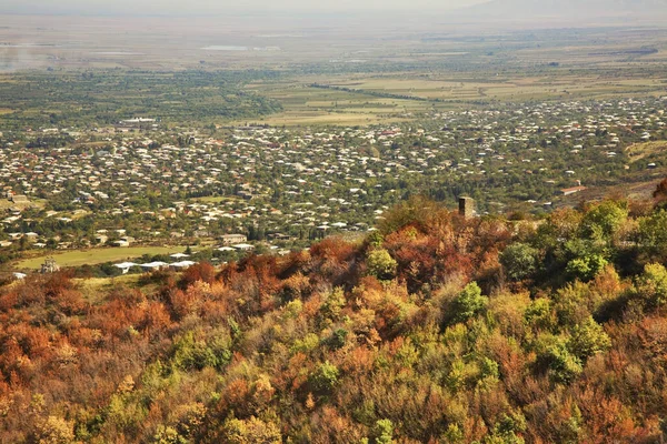 Vista Ciudad Tsnori Georgia — Foto de Stock