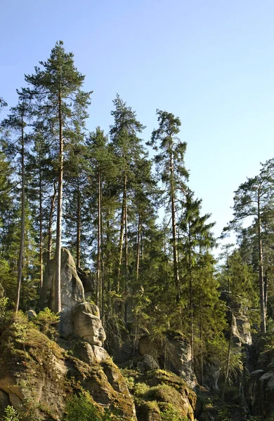 Βράχοι Adrspach Teplice Τσεχική Δημοκρατία — Φωτογραφία Αρχείου