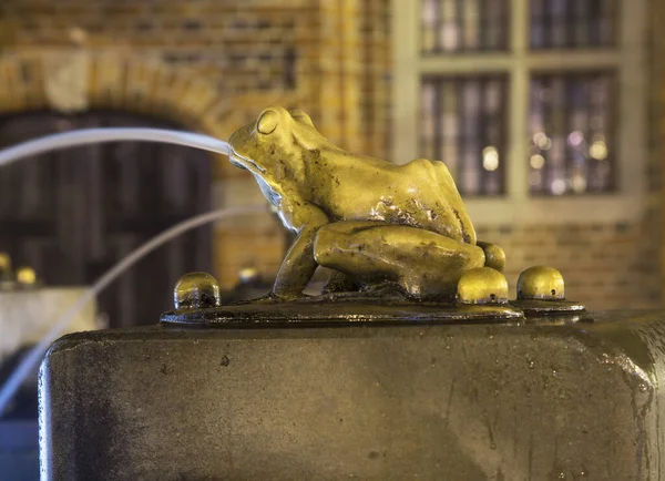 Лягушка Raftsman Fountain Помник Флисака Торуне Польша — стоковое фото