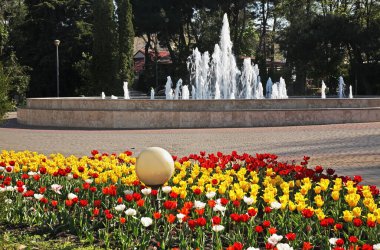 Anapa 'daki Central Park' ta. Krasnodar Krai. Rusya