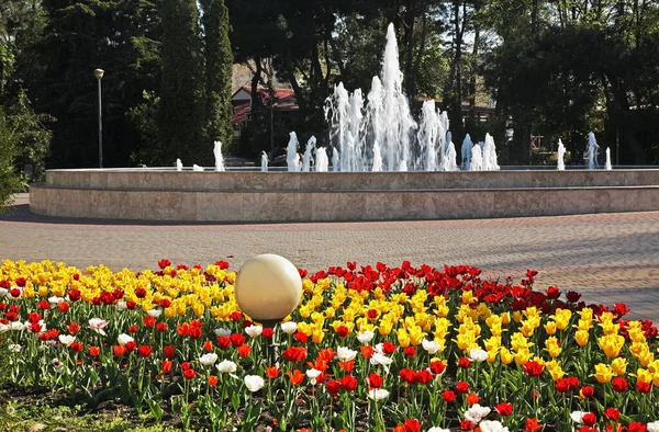 Centraal Park Anapa Krasnodar Krai Rusland — Stockfoto