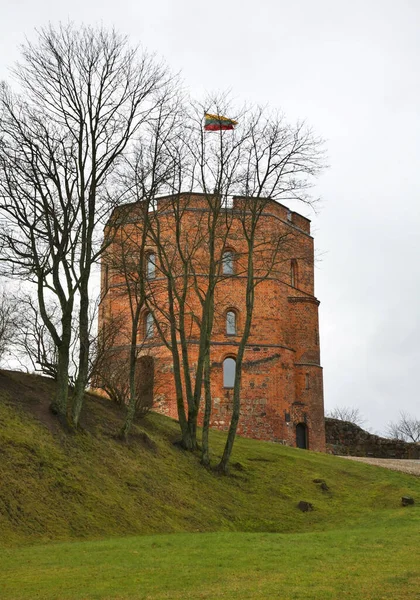 Tower Gediminas Vilnius Lithuania — Stock Photo, Image