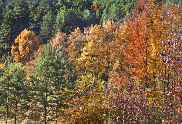 Paesaggio Vicino Bojnice Slovacchia — Foto Stock