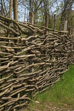 Gelendzhik kasabası yakınlarındaki Vozrozhdenie köyünde. Krasnodar Krai. Rusya