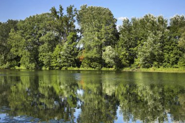 Varşova 'daki Wilanow Sarayı (Wilanowski) Sarayı. Polonya