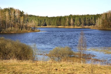 Toropets yakınlarında Selskoe (Kırsal) gölü. Tver Oblastı. Rusya