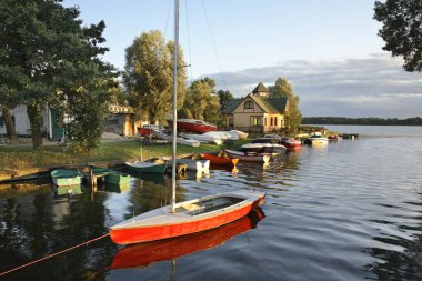 Geyik manzarası. Polonya