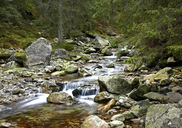 Ποταμός Ροζτόκα Στο Τάτρα Κοντά Στο Ζακοπάνε Πολωνία — Φωτογραφία Αρχείου