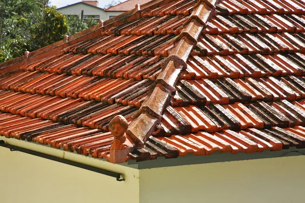 Fragment Roof Lvramento Funchal Madeira Island Portugal — Stock Photo, Image