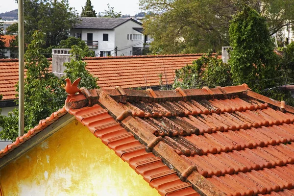 Stukje Dak Lvramento Schimmel Madeira Eiland Griekenland — Stockfoto