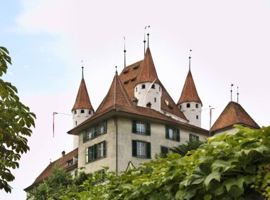 Thun Kalesi (Schloss Thun). İsviçre