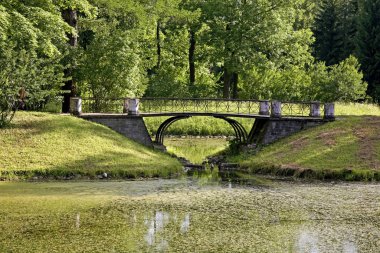 Saint Petersburg yakınlarındaki Tsarskoye Selo 'daki Catherine Park' ta (Çar Köyü) göletler. Rusya