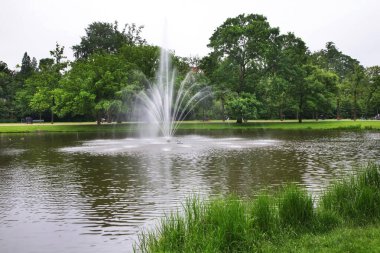 Amsterdam, Vondelpark 'taki çeşme. Hollanda