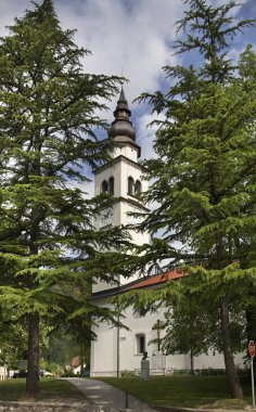 Tolmin 'deki Bakire Meryem Varsayımı Kilisesi. Slovenya