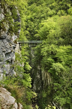 Tolminska Korita 'daki Tolminka nehri üzerindeki Şeytan Köprüsü Tolmin Boğazı. Slovenya