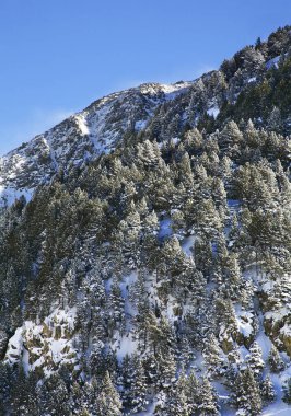 Kampın yakınındaki Pireneler. Andorra.