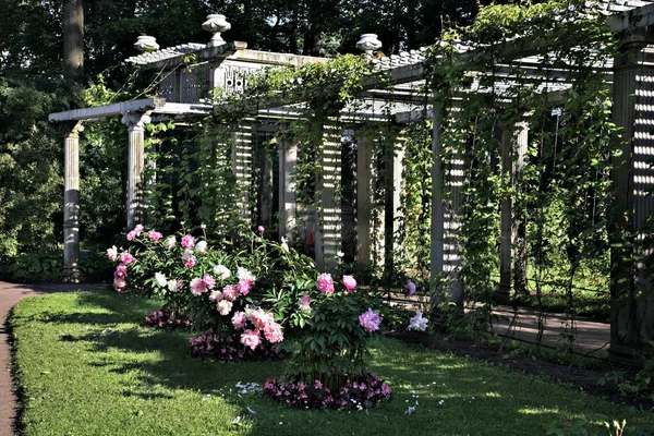 Catherine Park Tsarskoye Selo Tsar Village Szentpétervár Közelében Oroszország — Stock Fotó