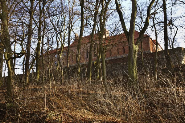 Château Bierzglowski Près Torun Pologne — Photo