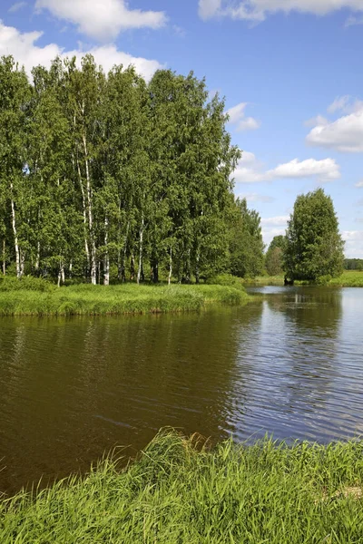 Річка Ґжат Біля Гагаріна Смоленська Область Росія — стокове фото