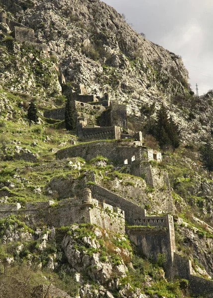 Ruiner Fästning Kotor Montenegro — Stockfoto