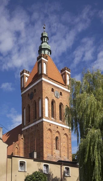 Iglesia Catalina Alejandría Golub Dobrzyn Polonia — Foto de Stock