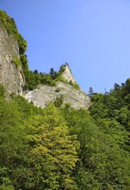 Lublin Kalesi manzarası. Polonya