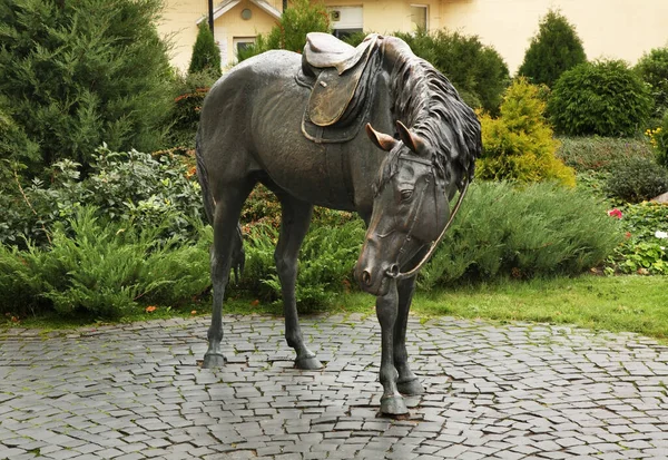 Skulptur Häst Baranovichi Vitryssland — Stockfoto